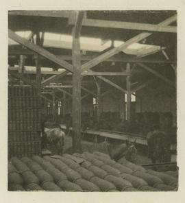 Horse stables and ammunition in Montreal, 48th Battalion (WWI)