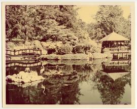 Japanese gardens, Hatley Park