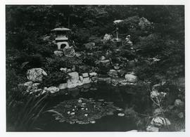 Pond in Japanese Gardens