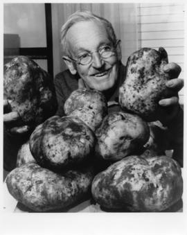Leonard Coton with his crop of giant potatoes