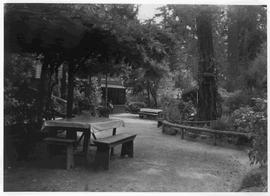 Tables and benches outside teahouse, Japanese Tea Gardens