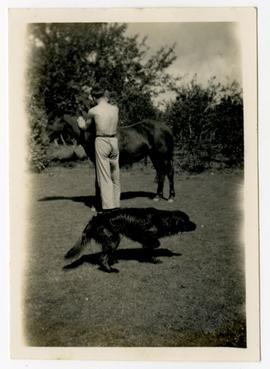 Man with a horse and wet dog