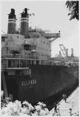 Container ship Allunga in drydock