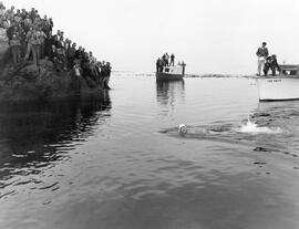 Closer to Shore