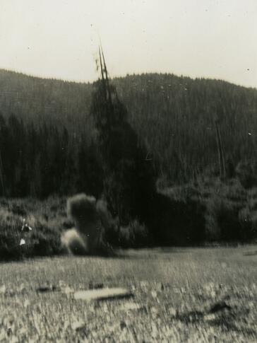 Original Digital object not accessible