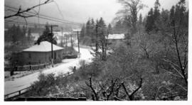 Admirals Road in the Winter