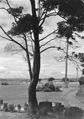Saxe Point Park ca. 1965