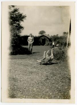 Shirtless man on farm, with three birds in foreground