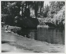 Girl watching ducks in Goodacre Lake, Beacon Hill Park
