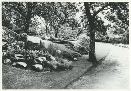 Driveway and garden at "Lyndhurst"