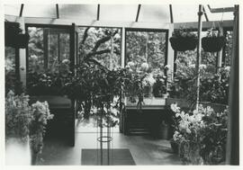 "Lyndhurst" conservatory