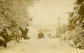 Snow on Canteen road with view of two ships in Esquimalt harbour