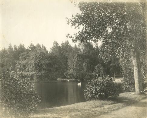 Original Obxecto dixital not accessible