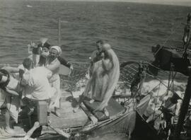 Crossing the Equator Ceremony - Dunking Jack Sheppard