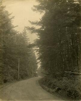 Sooke Road or East Sooke Road