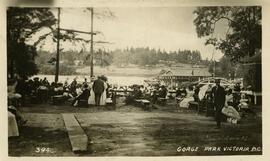 Gorge Park picnic area