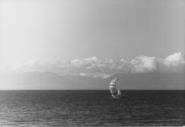 Swiftsure sailing race from Macaulay Point