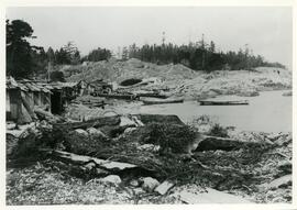 First Nations dwellings on shoreline