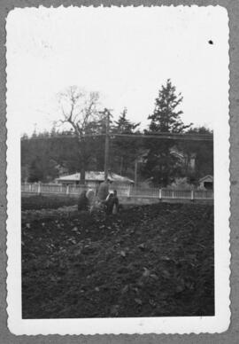 Tractor ploughing a field