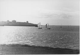 Swiftsure sailing race from Macaulay Point