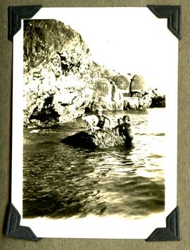 Children and dog swimming