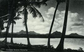 Coastal Scene, Rotuma