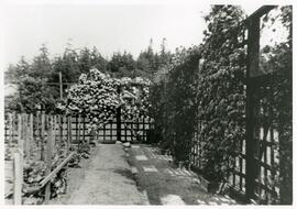 Rose garden at Esquimalt Memorial Park