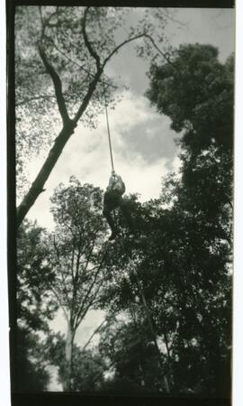 "The Swing"