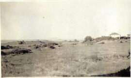 View across Macaulay plains