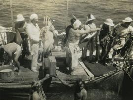 Crossing the Equator Ceremony - The dunking seat