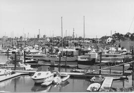 Boats at West Bay Marina with RV Park in background