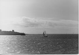 Swiftsure
