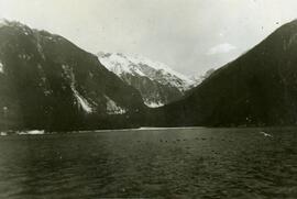 Alaskan shoreline