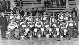 Esquimalt All Stars Hockey Team