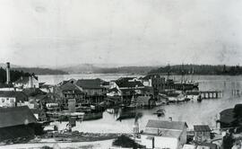 Old Esquimalt village