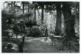 Woman standing on path, Japanese Tea Gardens
