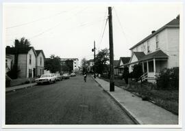 Houses on Springfield Street