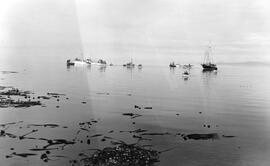 Swimming Next to Support Vessels