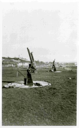 Anti-aircraft guns