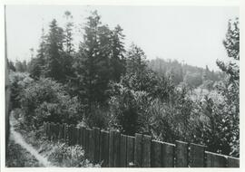 Lampson Street walk