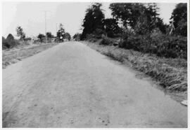 Lyall Street looking east