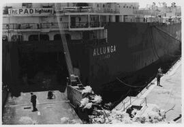 Container ship Allunga in drydock