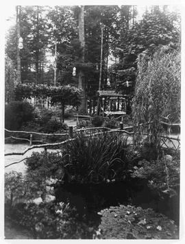 Pond in Japanese Tea Gardens
