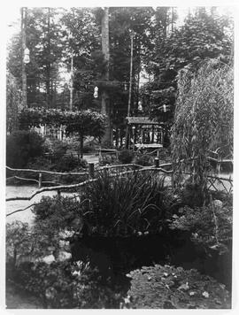 Pond in Japanese Tea Gardens