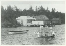 HMS Tartan in Esquimalt Harbour