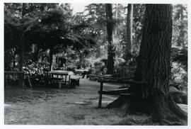 Picnic tables at Japanese Tea Gardens