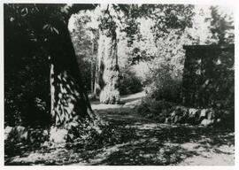Piddington House driveway, 441 Lampson Street