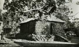 Fijian home