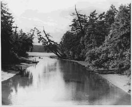 Colquitz River looking west toward Portage Inlet