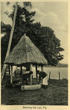 Beating the Lall, Fiji